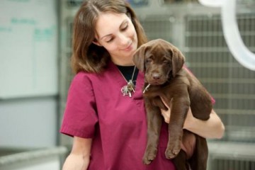 Ciclo formativo para auxiliares técnicos veterinarios