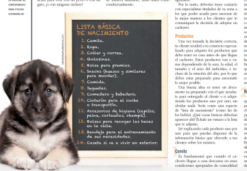 Cuando un cachorro llega a casa