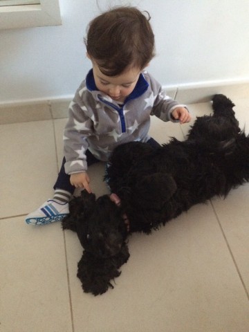 Berta y Greta