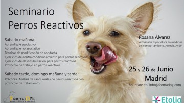 Seminario perros reactivos