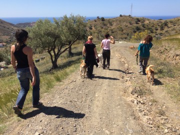 Paseando con perros