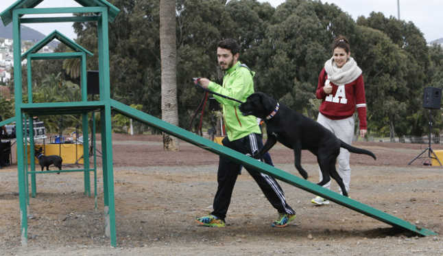 Agility parque canino 4