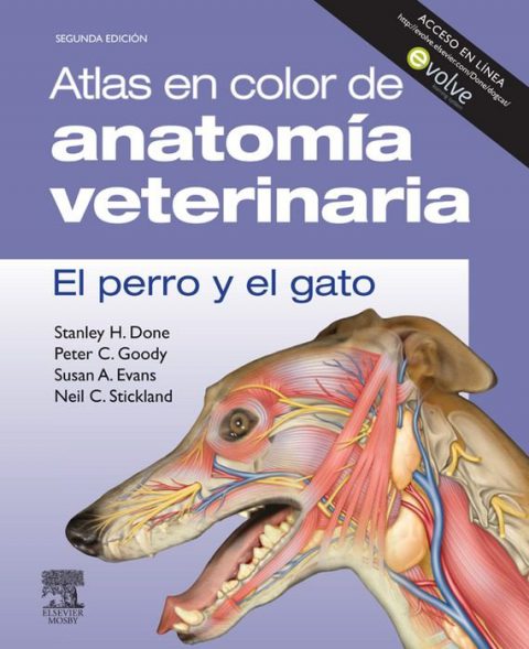 Anatomía cuello perro