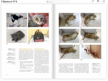 Clinetovet nº4