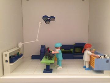 Clínica veterinaria