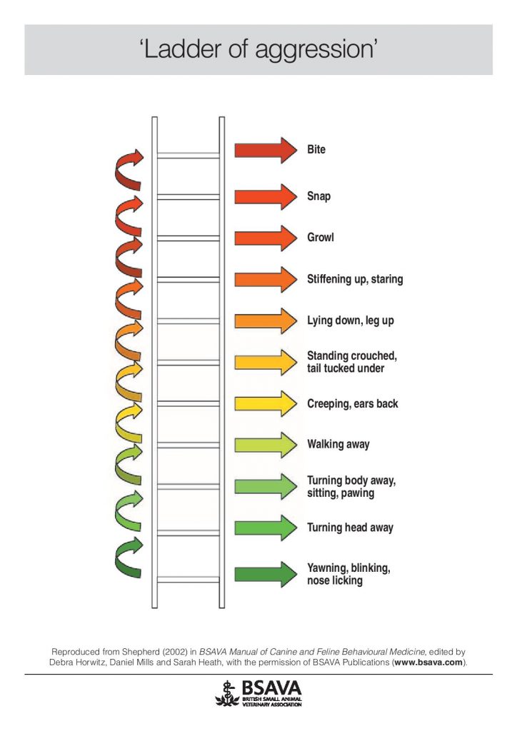 Ladder of aggression