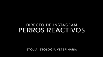Perros reactivos