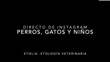 Perros, gatos y niños
