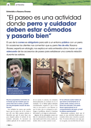 Entrevista sobre el paseo