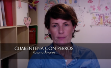 Cuarentena con perros