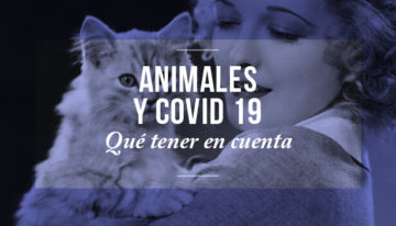 Animales y covid19