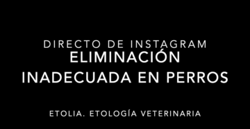 Eliminacion inadecuada en perros