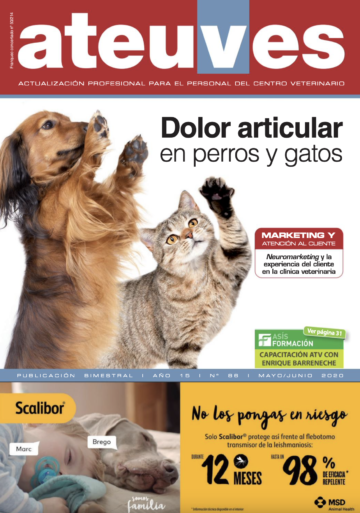 ATEUVES