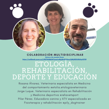 Etología, rehabilitación, deporte y educación