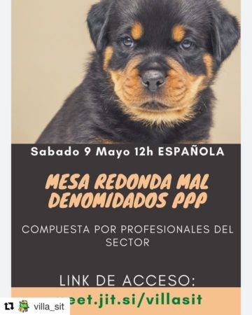 Mesa redonda PPP