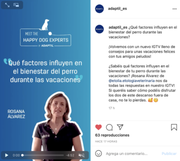 ¿Qué factores influyen en el bienestar del perro durante las vacaciones?