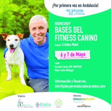 Curso Fitness canino